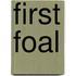 First Foal