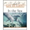 In The Sea door The Diagram Group