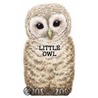 Little Owl door Giovanni Caviezel