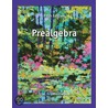 Prealgebra door Terry A. Krieger