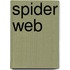 Spider Web