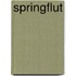 Springflut