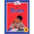Your Brain