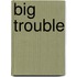Big Trouble