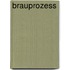 Brauprozess