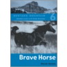 Brave Horse door Sharon Siamon