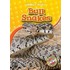 Bull Snakes