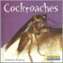 Cockroaches
