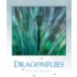 Dragonflies