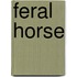 Feral Horse
