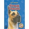 Great Danes door Stuart A. Kallen