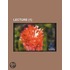 Lecture (1)