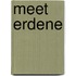 Meet Erdene