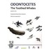 Odontocetes