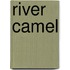River Camel
