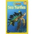 Sea Turtles