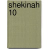 Shekinah 10 door Jan Fries