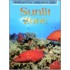 Sunlit Zone