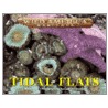 Tidal Flats door Melissa S. Cole