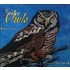 Twelve Owls