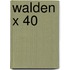 Walden X 40