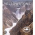 Yellowstone