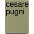 Cesare Pugni