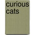 Curious Cats