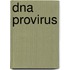 Dna Provirus