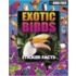 Exotic Birds