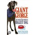Giant George