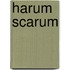 Harum Scarum
