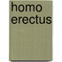 Homo Erectus