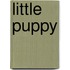 Little Puppy