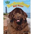 Newfoundland