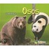 Osos = Bears