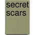 Secret Scars