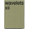 Wavelets Xii door Manos Papadakis