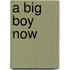 A Big Boy Now
