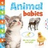 Animal Babies