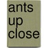 Ants Up Close