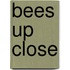 Bees Up Close