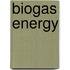 Biogas Energy