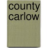County Carlow door Source Wikipedia