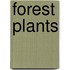 Forest Plants
