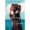 Healing Flynn door Juliette Mead