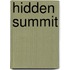 Hidden Summit