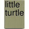 Little Turtle by Roger Priddy