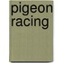 Pigeon Racing