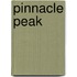 Pinnacle Peak